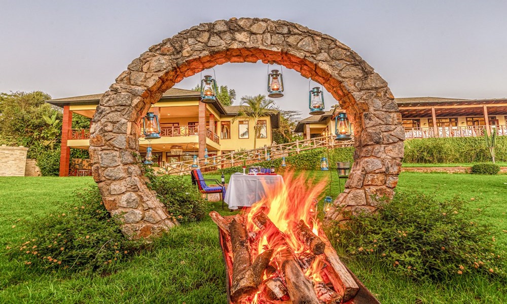 Acacia Central Standard Camp