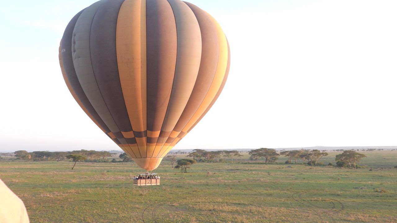 Hot Air Balloon Safari