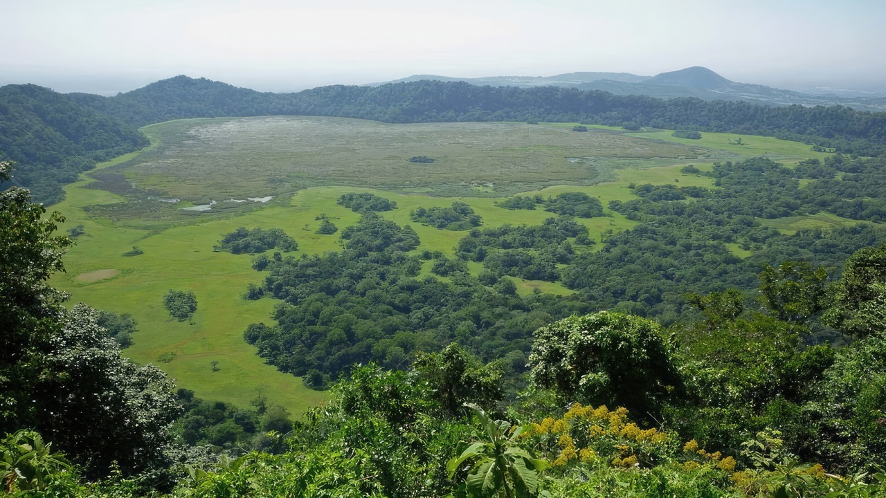 Ngurdoto Crater Walk (Arusha National Park)