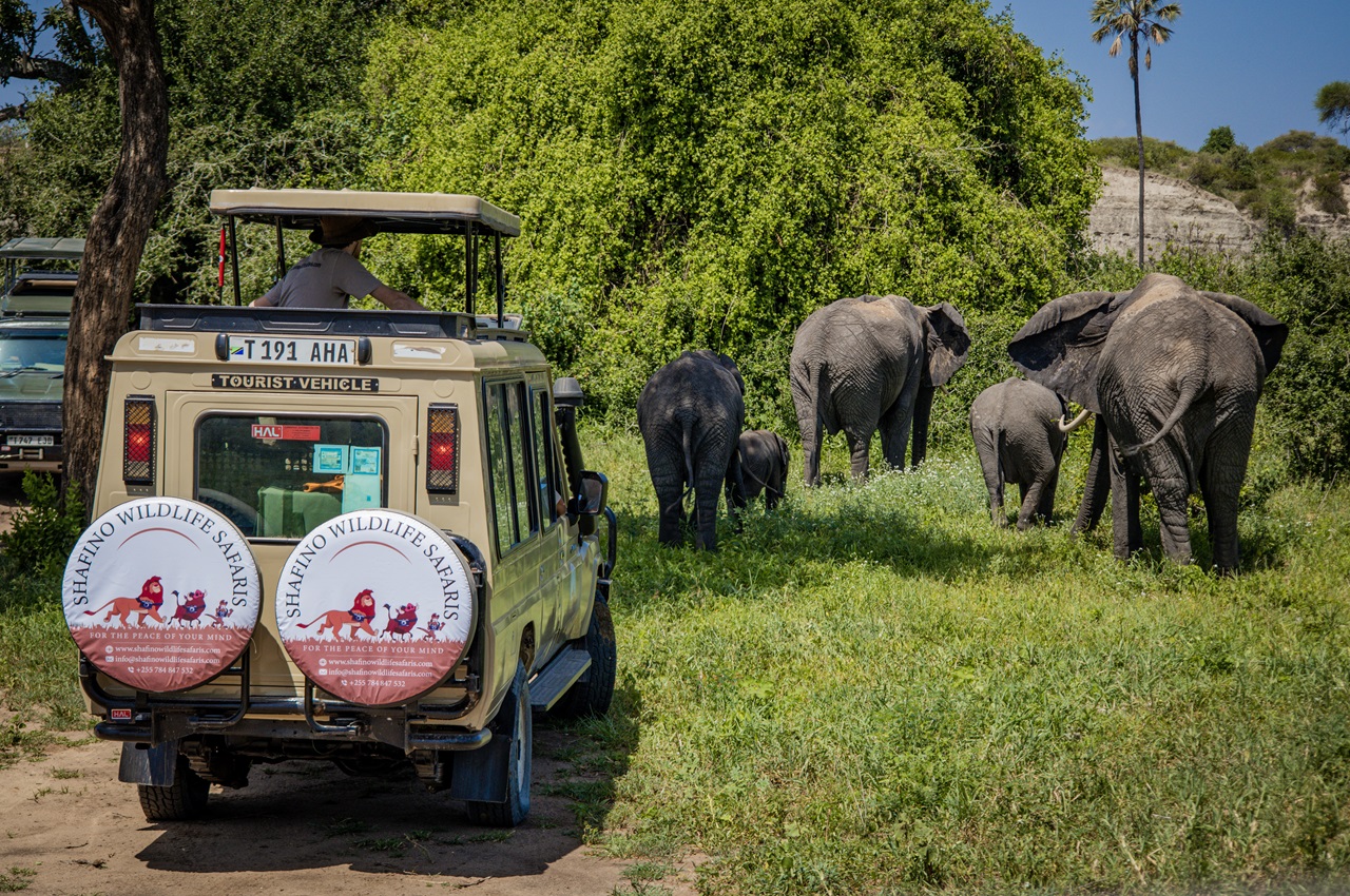 5-Day Tanzania Camping Safari: Tarangire, Serengeti & Ngorongoro Crater from $1575