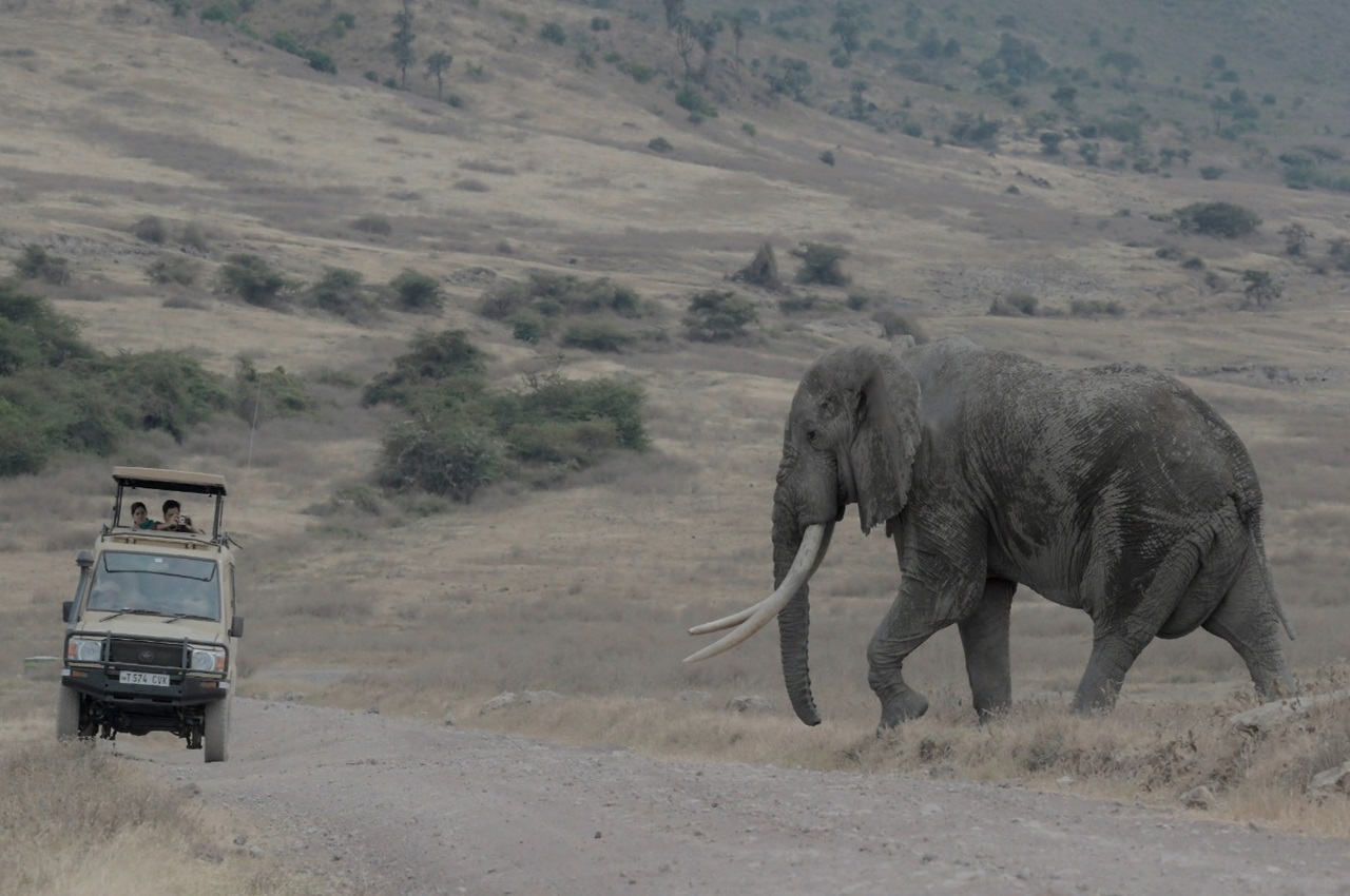 6-Day Memorable Luxury Safari in Northern Tanzania