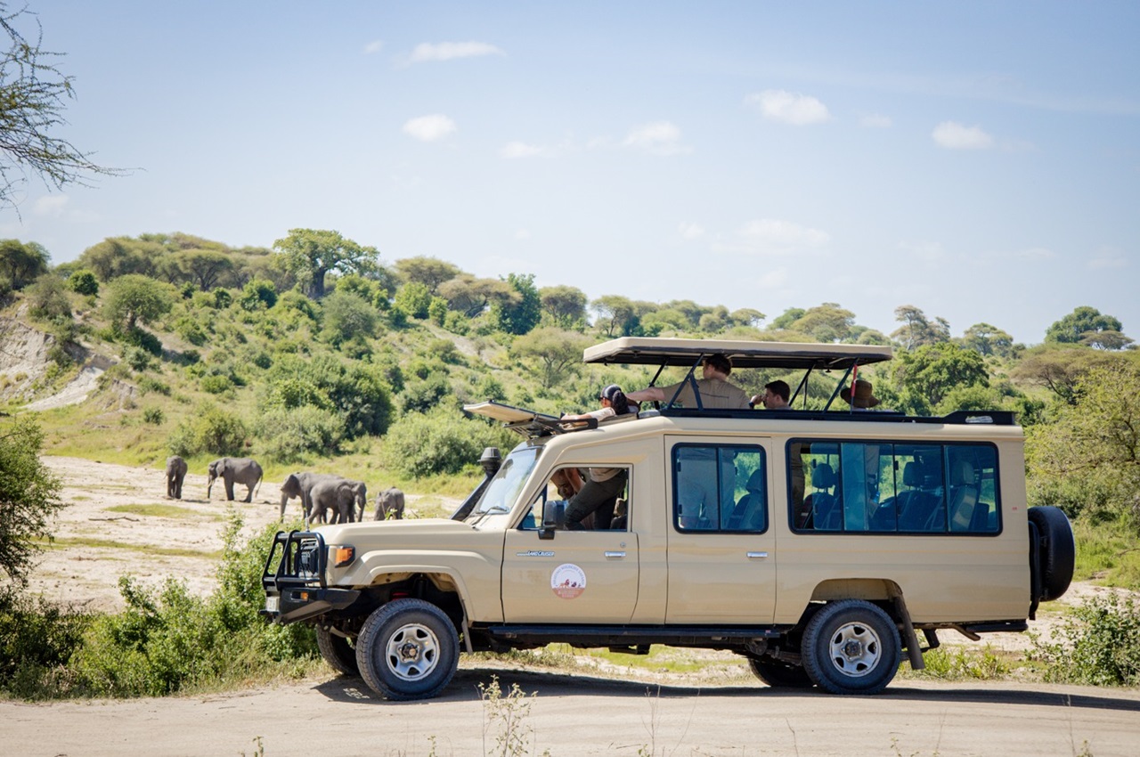 3-Day Ngorongoro & Ndutu Calving Season Wildlife Safari 