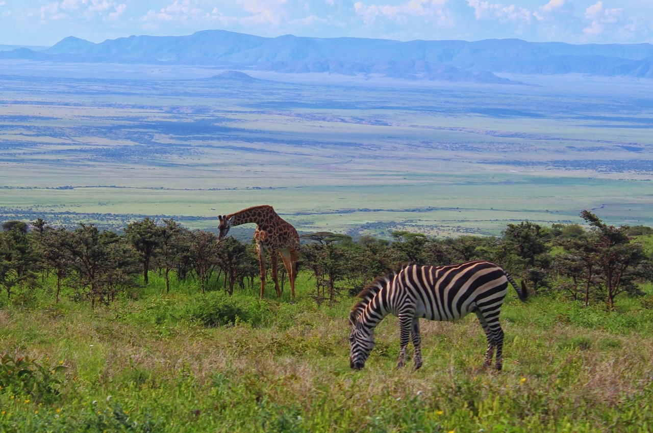 5-Days Northern Tanzania Honeymoon Safari