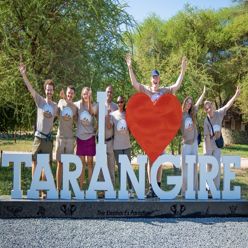 Shafino Wildlife Safaris