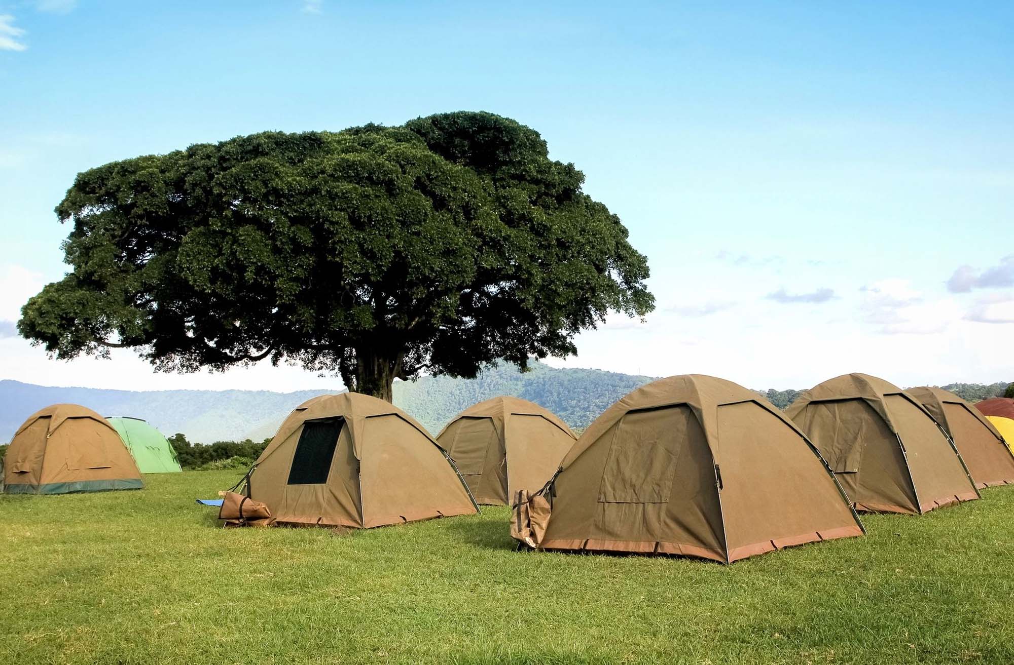budget camp 2