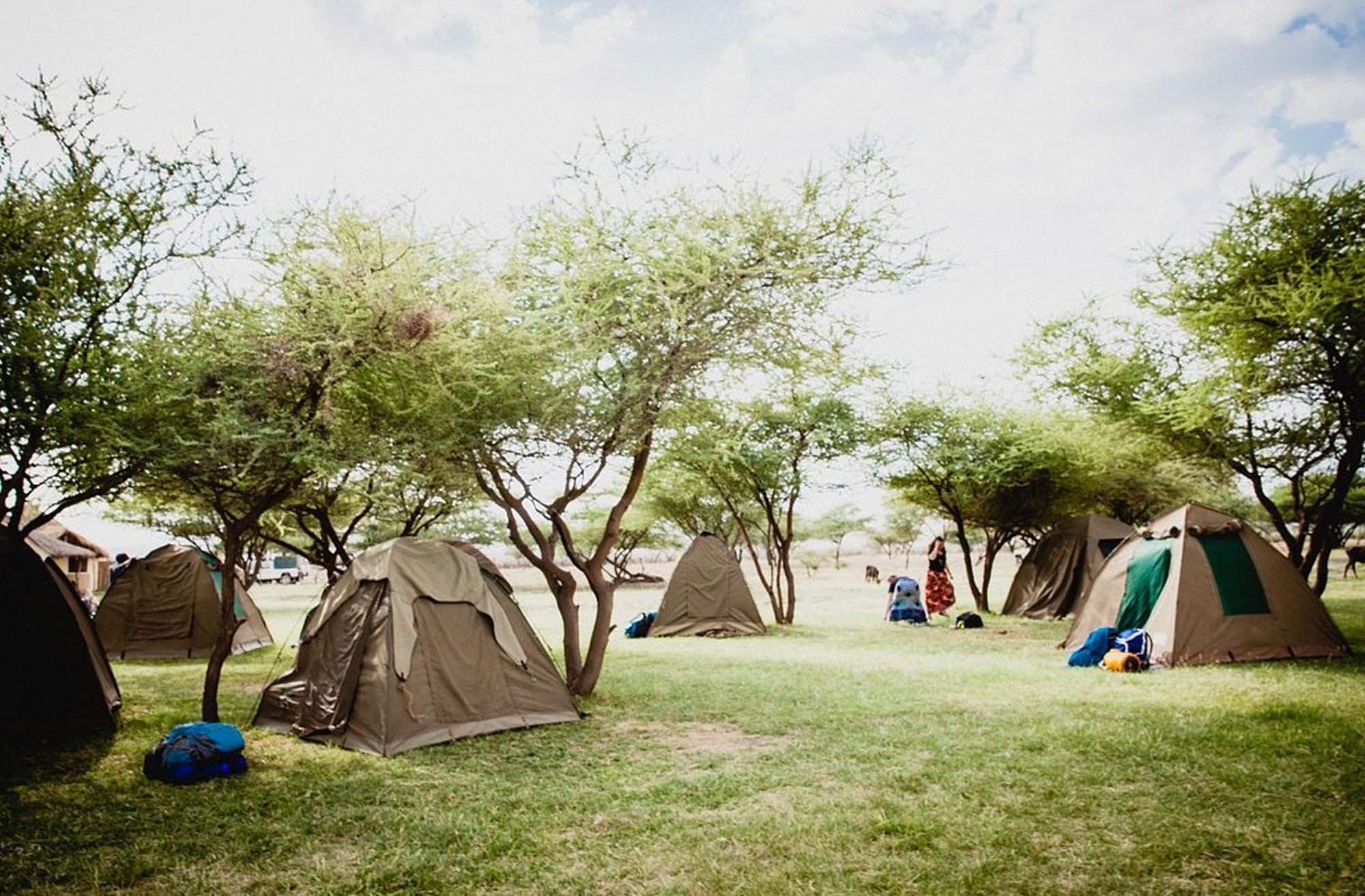 budject camp 2
